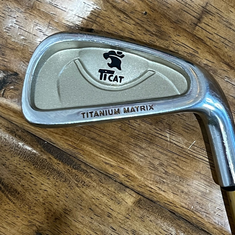 Cougar Ticat Kids Golf Iron in Silver and Gold